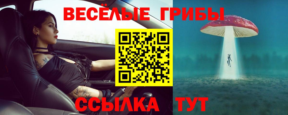 Гуково  Псилоцибиновые грибы прущие грибы  Вход с VPN 